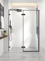 Душевая дверь распашная 1400x2000 цвет профиля Чёрный матовый стекло прозрачное осветленное AL-140-00-B-C4 Premium Veconi